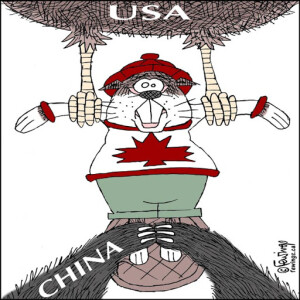 China_New World Order_Fewings_cartoon