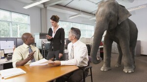 ESG_Standards_elephant in room