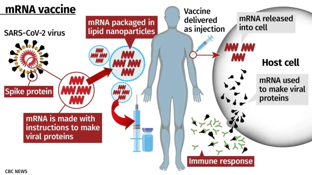Transform Healthcare_mRNA vaccine