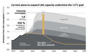 CAT_planned LNG expansion