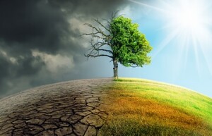 greenium_climate friendly investing