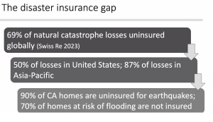 disaster insurance gap