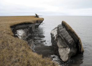Permafrost_coastal_erosion_USGS