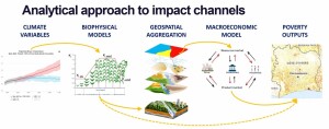 EE_impact channels