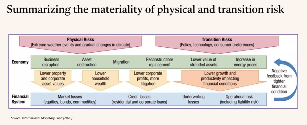 Materiality of Physical N Transition Risk