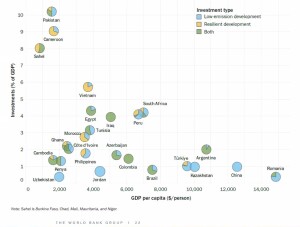 SS_Financial needs_low income countries