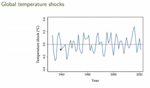 EE_Global Temp Shocks