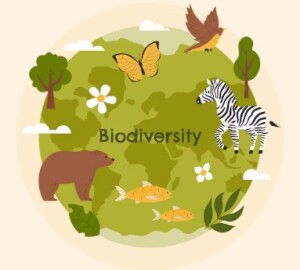 biodiversity